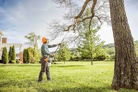 Best Fruit Tree Pruning  in Harmony, RI